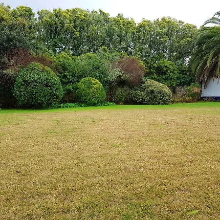 アパート One Bedroom With Shared Pool Enclosed Garden And Wifi At 5 Km Away From The シントラ